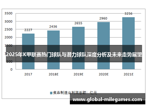 2025年K甲联赛热门球队与潜力球队深度分析及未来走势展望 2025年K甲联赛热门球队与潜力球队深度分析及未来走势展望