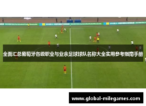 全面汇总葡萄牙各级职业与业余足球球队名称大全实用参考指南手册