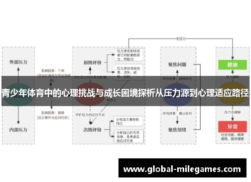 青少年体育中的心理挑战与成长困境探析从压力源到心理适应路径
